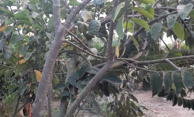 TERRENO  en Condominio Para Tu Casa Huerta