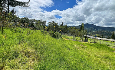 VENTA DE LOTES DE TERRENO- UBICADO EN RICAURTE  | MOLINOPAMBA