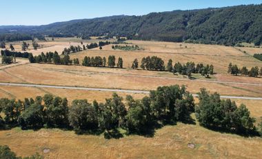 Hermosas Parcelas en Villarrica con crédito directo cuotas desde $ 388.000 aprox.