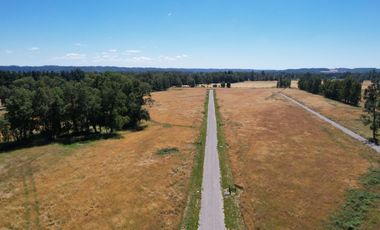 Hermosas Parcelas en Villarrica con crédito directo cuotas desde $ 388.000 aprox.