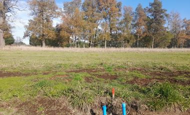 Hermosas Parcelas en Villarrica con crédito directo cuotas desde $ 388.000 aprox.