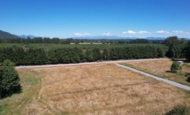 Hermosas Parcelas en Villarrica con crédito directo cuotas desde $ 388.000 aprox.