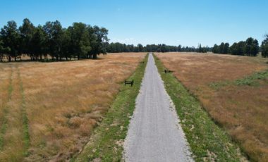 Hermosas Parcelas en Villarrica con crédito directo cuotas desde $ 388.000 aprox.