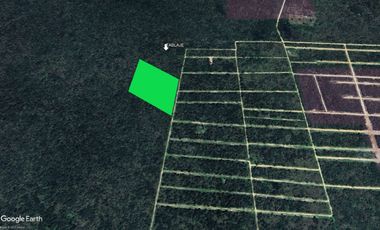 Venta de tres hectareas setenta y cuatro areas de Yaxkukul, Yucatán