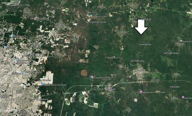 Venta de tres hectareas setenta y cuatro areas de Yaxkukul, Yucatán