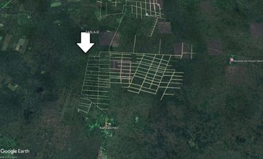 Venta de tres hectareas setenta y cuatro areas de Yaxkukul, Yucatán