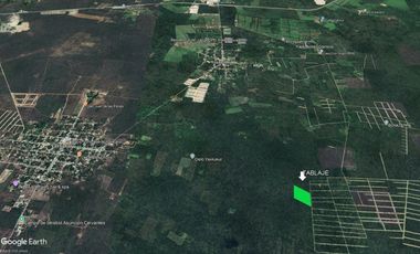 Venta de tres hectareas setenta y cuatro areas de Yaxkukul, Yucatán