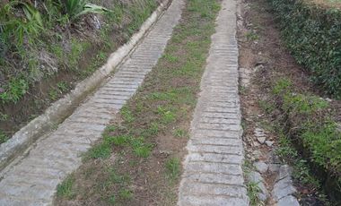 VENDO CASA FINCA CON COMPRAVENTA, BIEN BARATA EN MARINILLA ANTIOQUIA.