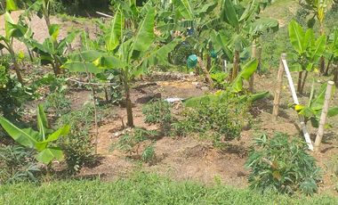 VENDO CASA FINCA CON COMPRAVENTA, BIEN BARATA EN MARINILLA ANTIOQUIA.