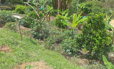 VENDO CASA FINCA CON COMPRAVENTA, BIEN BARATA EN MARINILLA ANTIOQUIA.