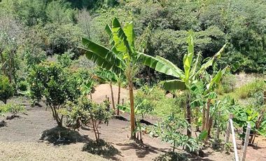 VENDO CASA FINCA CON COMPRAVENTA, BIEN BARATA EN MARINILLA ANTIOQUIA.