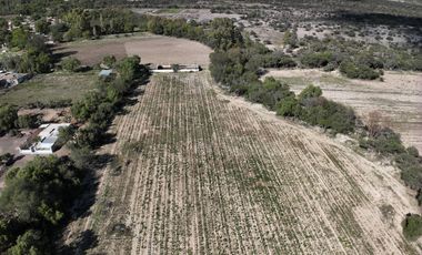 TERRENO CON RANCHO Y FINCAS EN VENTA EN SAN FELIPE, GTO