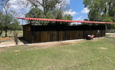 TERRENO CON RANCHO Y FINCAS EN VENTA EN SAN FELIPE, GTO