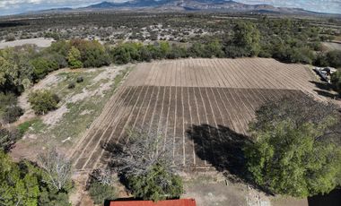 TERRENO CON RANCHO Y FINCAS EN VENTA EN SAN FELIPE, GTO