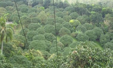 Self sustaining well developed 13.7 hectares resort farm in Tanay Rizal