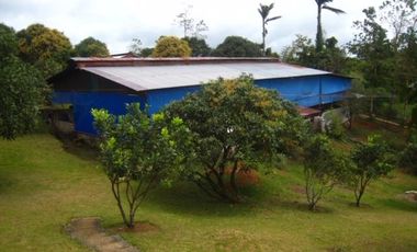 Self sustaining well developed 13.7 hectares resort farm in Tanay Rizal