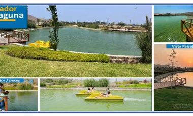 VENTA DE TERRENO DE CAMPO EN ASIA