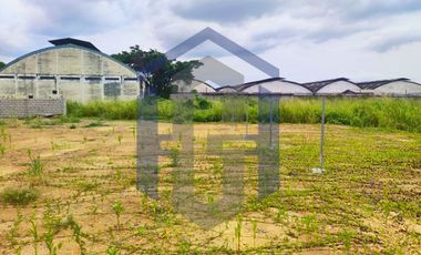 Terreno Industrial/Comercial en Alquiler – Vía a Daule Km 15, Guayaquil