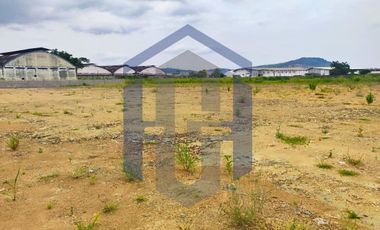 Terreno Industrial/Comercial en Alquiler – Vía a Daule Km 15, Guayaquil