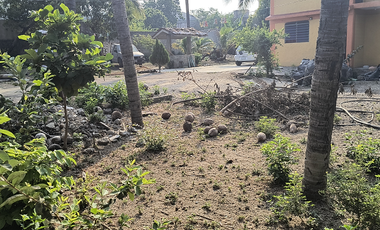 Casa de cuatro recamaras con todos los servicios en la colonia La Mica de Acapulco, Gro.