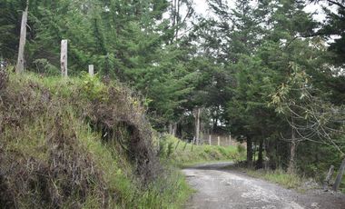 VENTA DE FINCA VIA PAMPLONA
