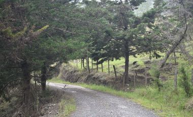 VENTA DE FINCA VIA PAMPLONA