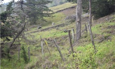 VENTA DE FINCA VIA PAMPLONA