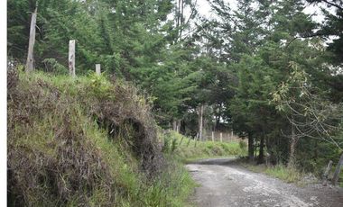 VENTA DE FINCA VIA PAMPLONA