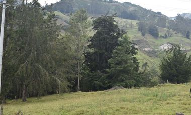 VENTA DE FINCA VIA PAMPLONA