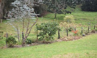 VENTA DE FINCA VIA PAMPLONA
