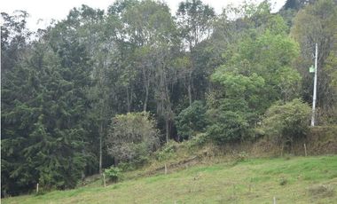 VENTA DE FINCA VIA PAMPLONA