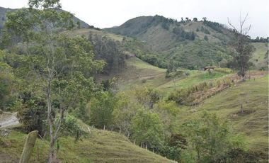 VENTA DE FINCA VIA PAMPLONA