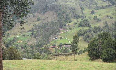 VENTA DE FINCA VIA PAMPLONA