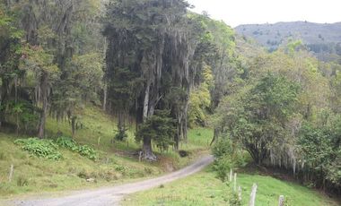 VENTA DE FINCA VIA PAMPLONA