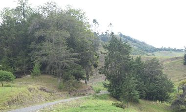 VENTA DE FINCA VIA PAMPLONA