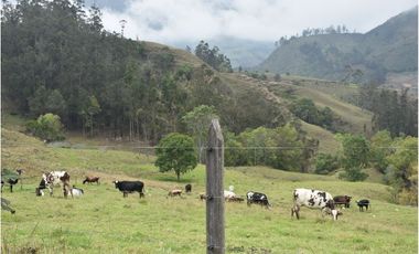 VENTA DE FINCA VIA PAMPLONA