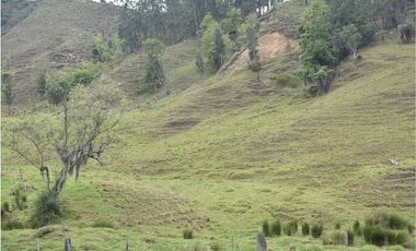 VENTA DE FINCA VIA PAMPLONA