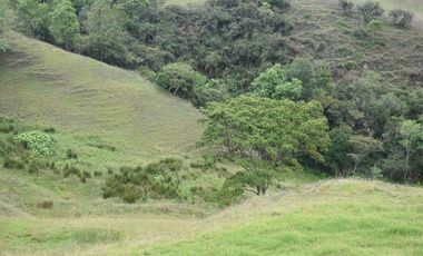 VENTA DE FINCA VIA PAMPLONA