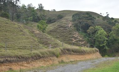 VENTA DE FINCA VIA PAMPLONA