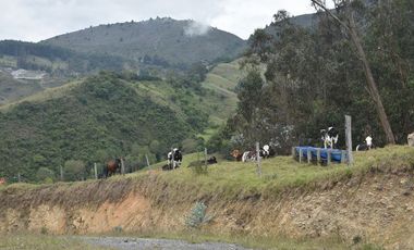 VENTA DE FINCA VIA PAMPLONA