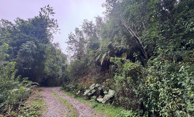 Terreno en Venta 5000M2 – Parcelación Santuario de Licarayén, Puerto Varas