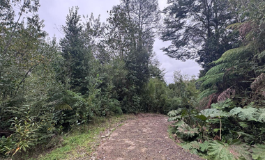Terreno en Venta 5000M2 – Parcelación Santuario de Licarayén, Puerto Varas