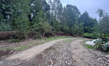Terreno en Venta 5000M2 – Parcelación Santuario de Licarayén, Puerto Varas