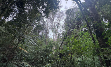 Terreno en Venta 5000M2 – Parcelación Santuario de Licarayén, Puerto Varas