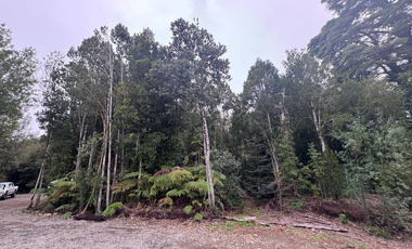 Terreno en Venta 5000M2 – Parcelación Santuario de Licarayén, Puerto Varas