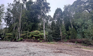 Terreno en Venta 5000M2 – Parcelación Santuario de Licarayén, Puerto Varas