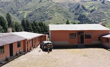 VENTA HACIENDA LECHERA Y GANADERA LUPAXI - GUAYAS