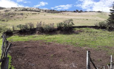 VENTA HACIENDA LECHERA Y GANADERA LUPAXI - GUAYAS