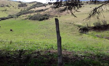 VENTA HACIENDA LECHERA Y GANADERA LUPAXI - GUAYAS