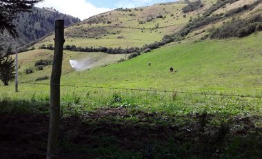 VENTA HACIENDA LECHERA Y GANADERA LUPAXI - GUAYAS